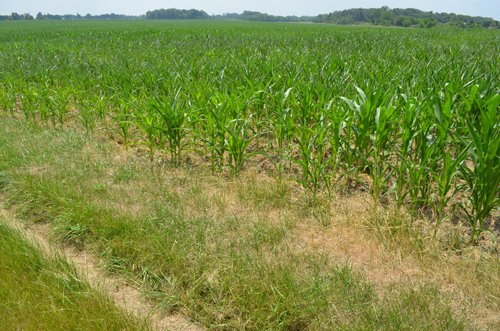 Property photo 20 - 51.5 Acres Offered in 5 tracts, 2 Farm Sites